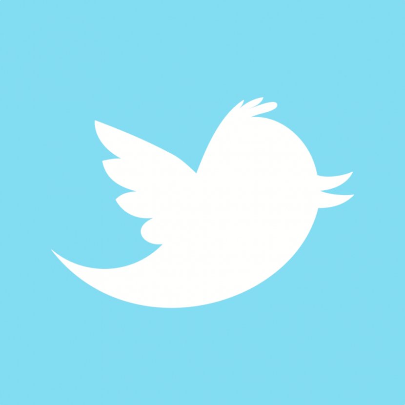 Social Media SlideShare Clip Art - Water Bird - Twitter Transparent PNG