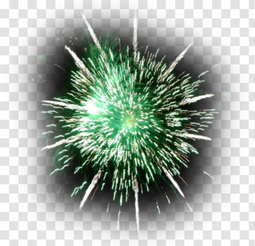 Fireworks Bû Desktop Wallpaper New Year - B%c3%bb Transparent PNG