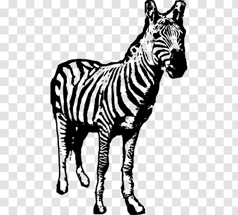 Zebra Clip Art Image Tiger - Giraffe - Africa Animals Transparent PNG