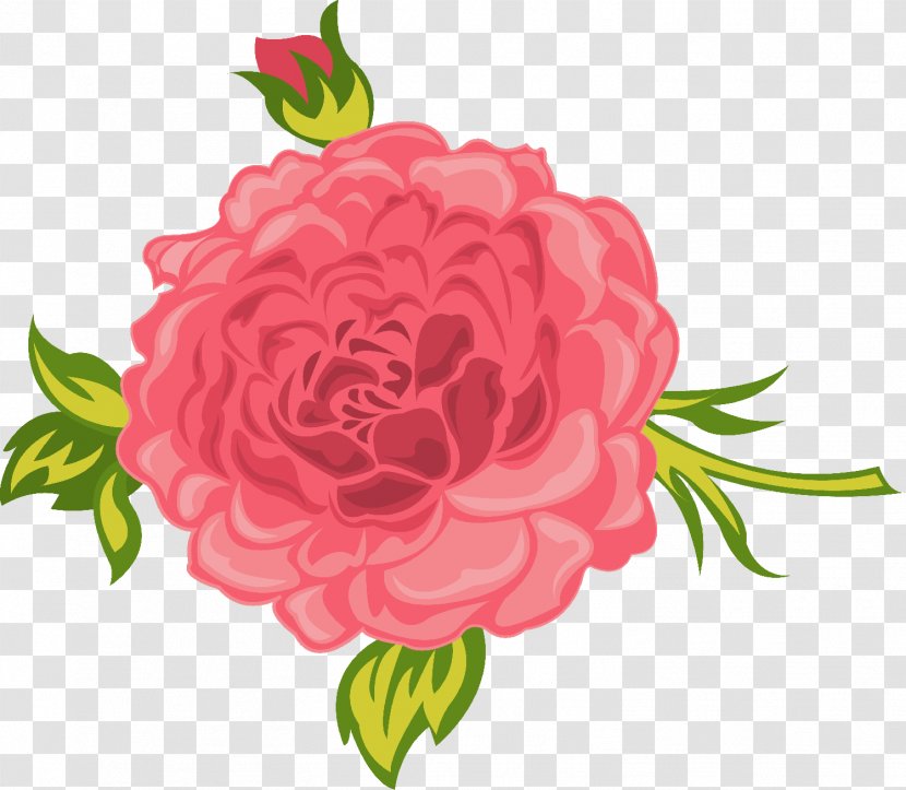 Garden Roses Cabbage Rose Floral Design Cut Flowers Carnation - Red - Flower Transparent PNG