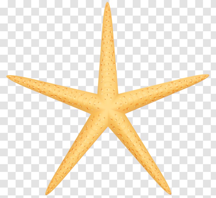 Cartoon Star - Wet Ink - Starfish Transparent PNG