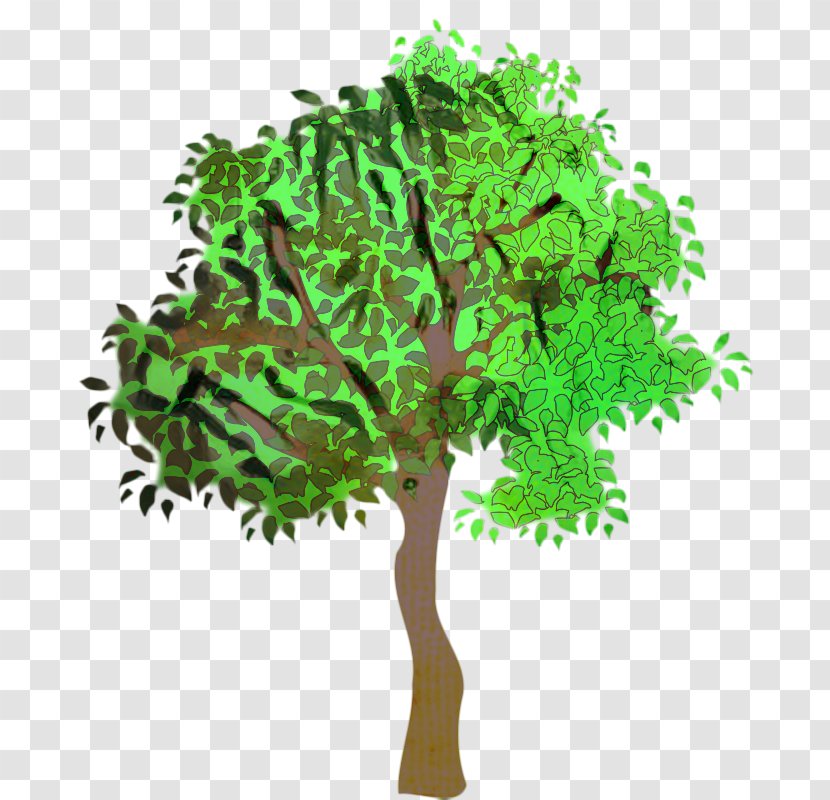 Oak Tree Leaf - Scale Model - Flower Elm Transparent PNG
