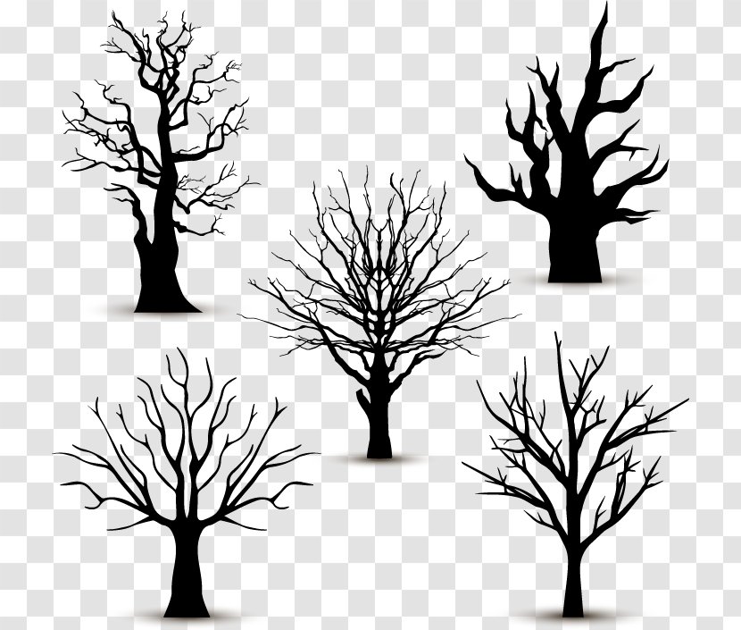 Vector Graphics Tree Branch Image - Trunk - Oak Transparent PNG