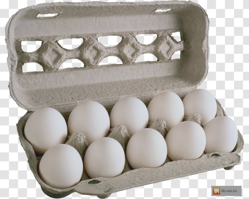 Egg Chicken Image Resolution Food - Information Transparent PNG