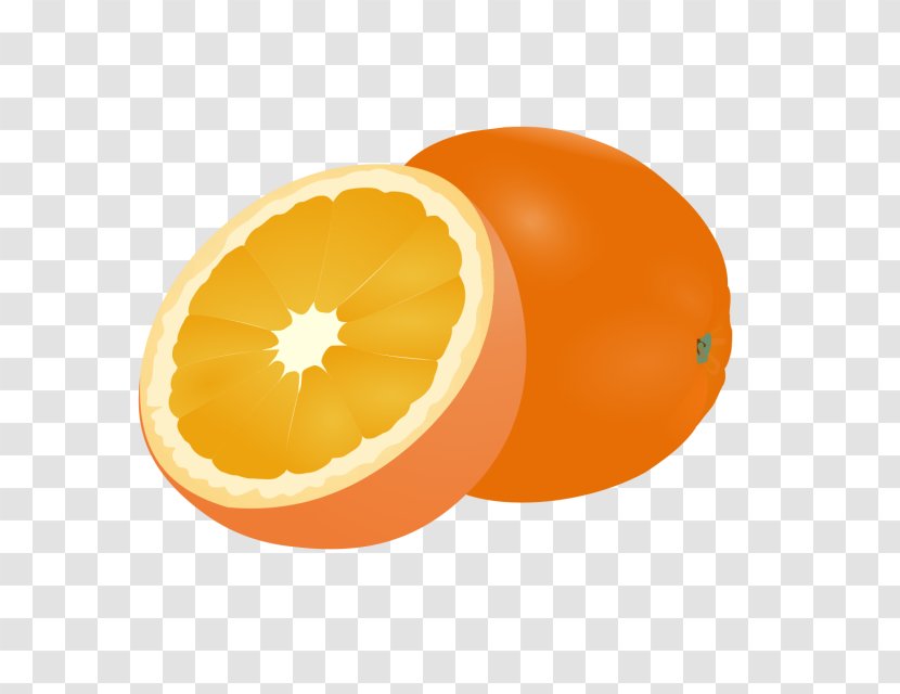 Clip Art Grapefruit Orange Openclipart - Citrus Transparent PNG