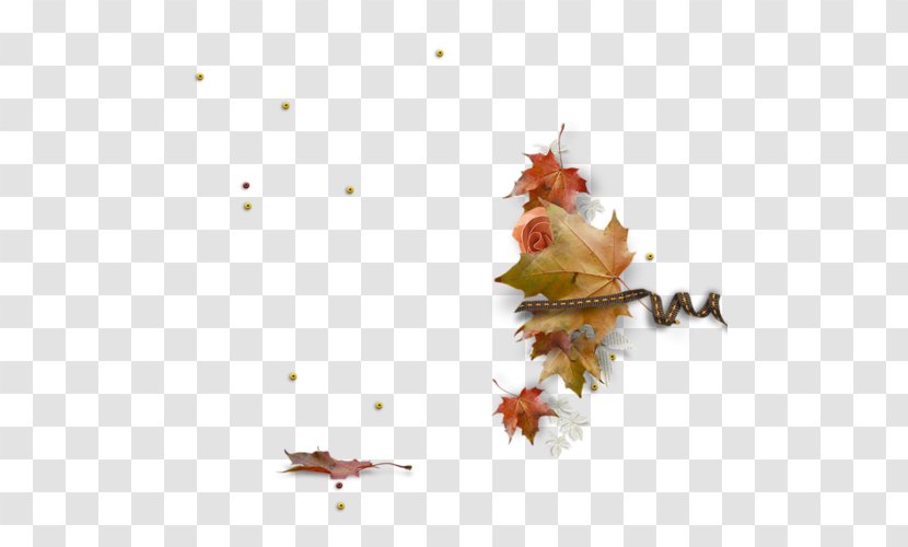 Desktop Wallpaper Maple Leaf Sketch - Organism - Design Transparent PNG