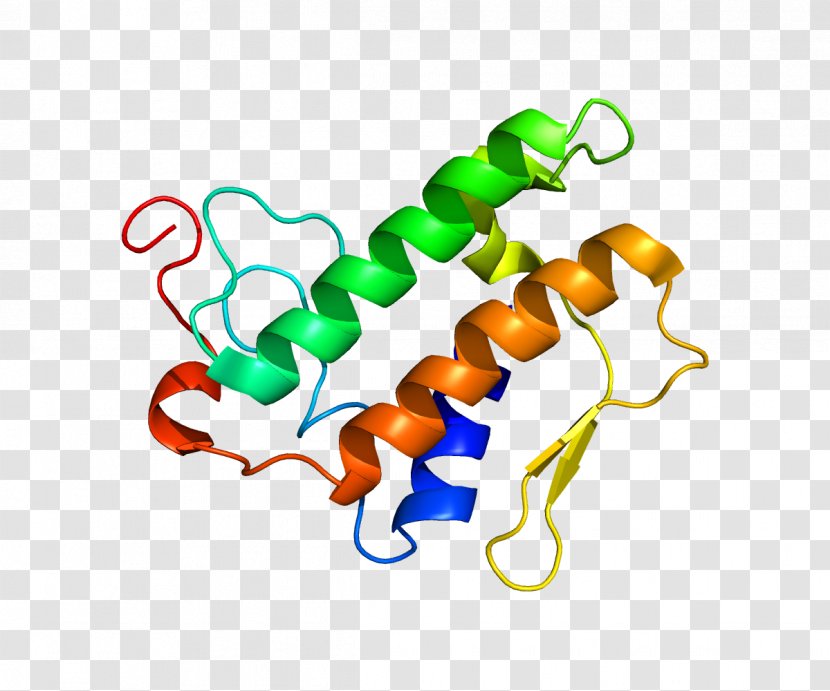 Phospholipase A2 Protein Enzyme - Watercolor - Chain Gene Transparent PNG