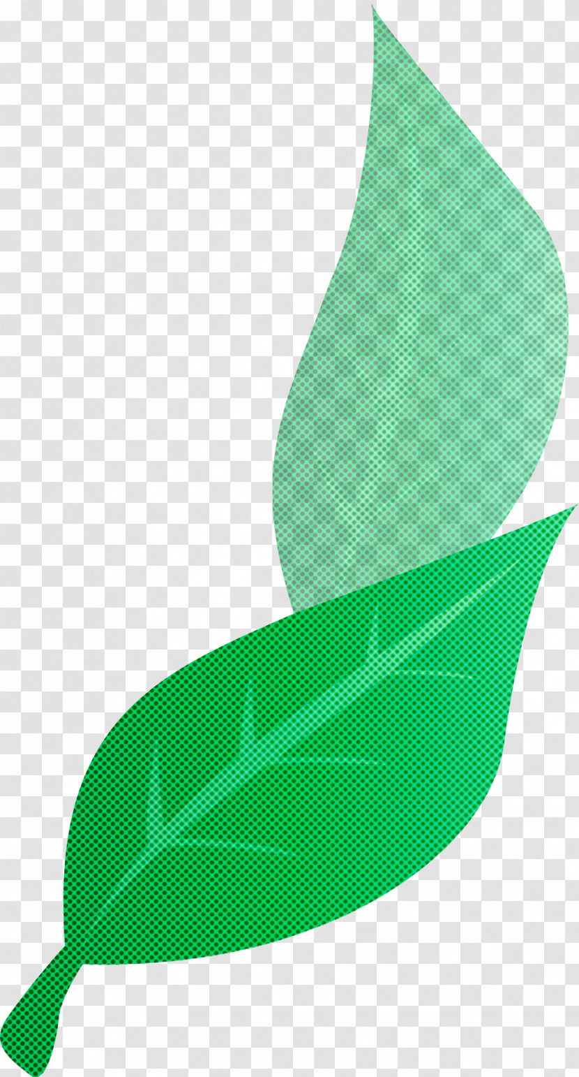 Maple Leaf Transparent PNG