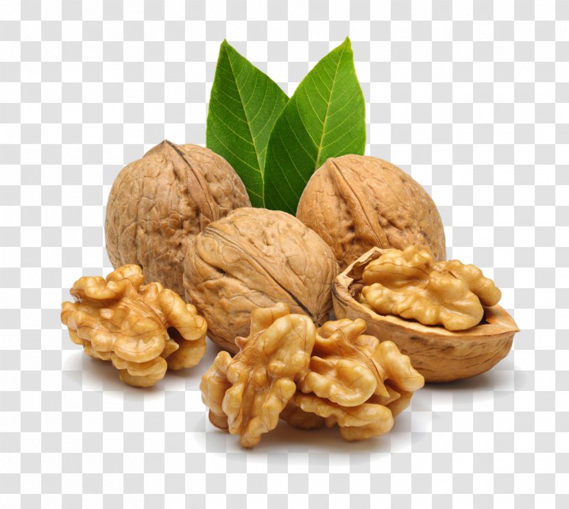 English Walnut Nucule Nutrient Food - Oil - Nuts Transparent PNG