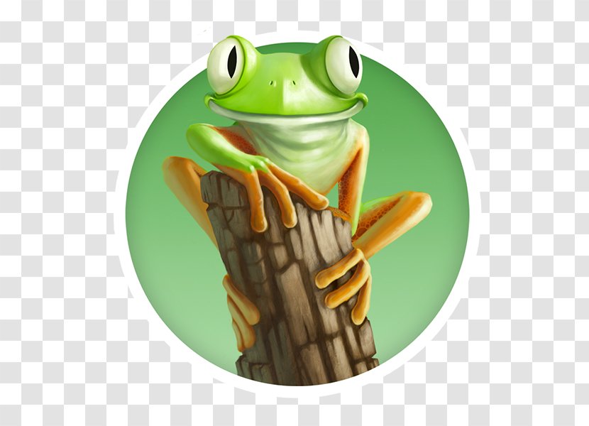 Tree Frog True Brazil Information - Branch Transparent PNG