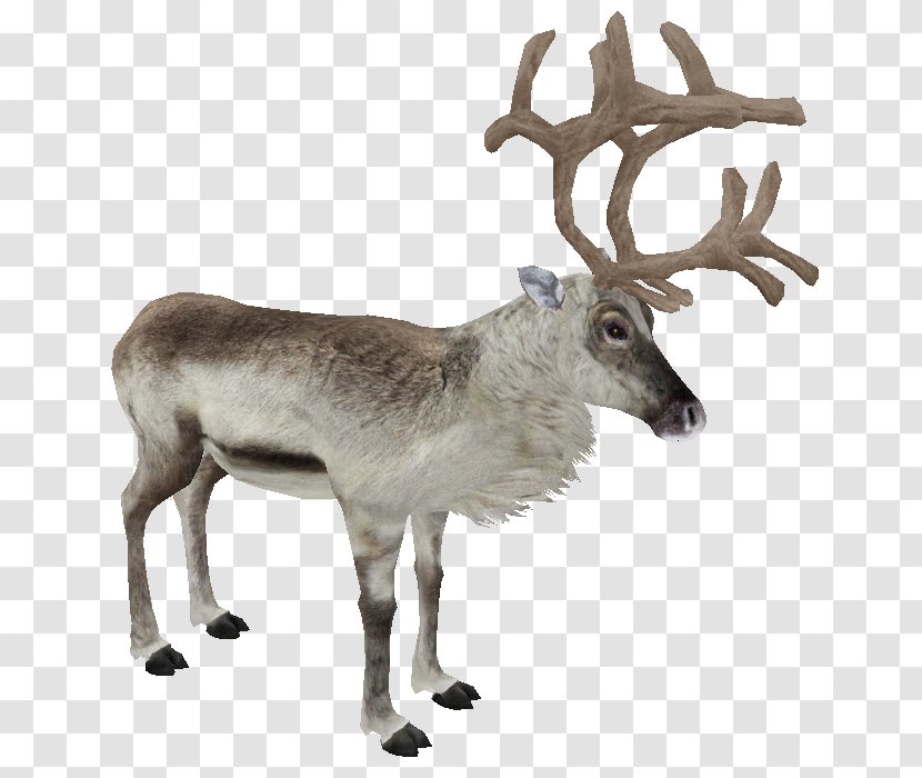 Zoo Tycoon 2 White-tailed Deer Moose - Reindeer Transparent PNG