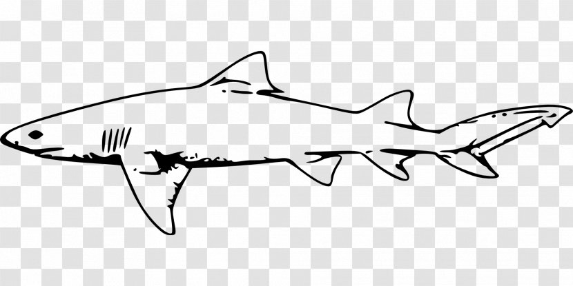 Great White Shark Bull Clip Art - Black And - Big Transparent PNG
