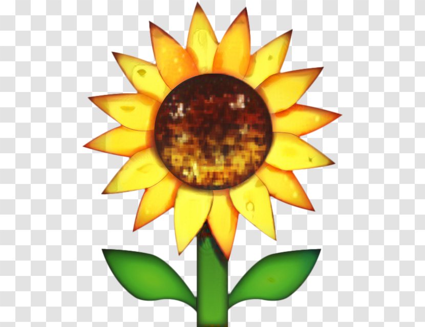 Iphone Flower Emoji - Pollen - Gazania Wildflower Transparent PNG