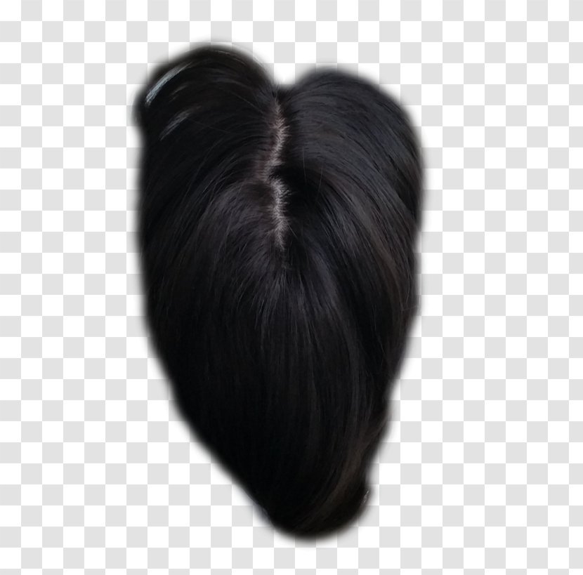 Long Hair Artificial Integrations Bangs Black - Ponytail Transparent PNG