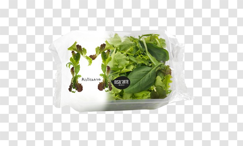 Romaine Lettuce Caesar Salad Misticanza Transparent PNG