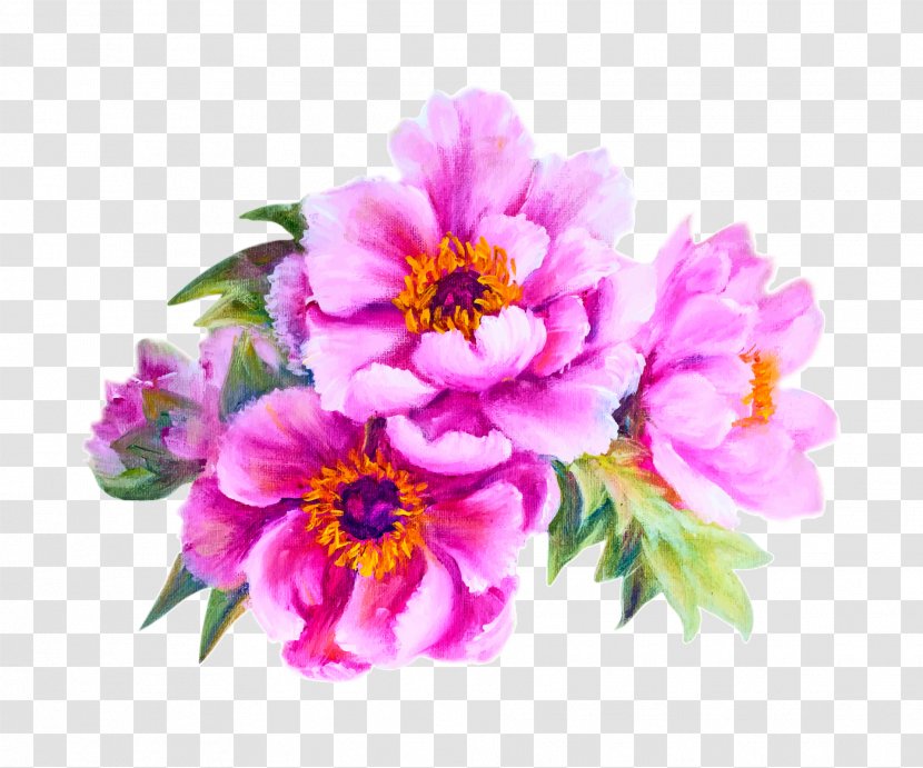 Flower Peony Stock Photography Illustration - Flowering Plant - Vector Transparent PNG