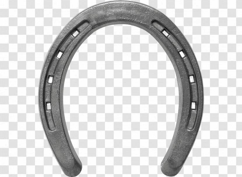 American Quarter Horse Horseshoe Pony Standardbred Farrier - Rim Transparent PNG