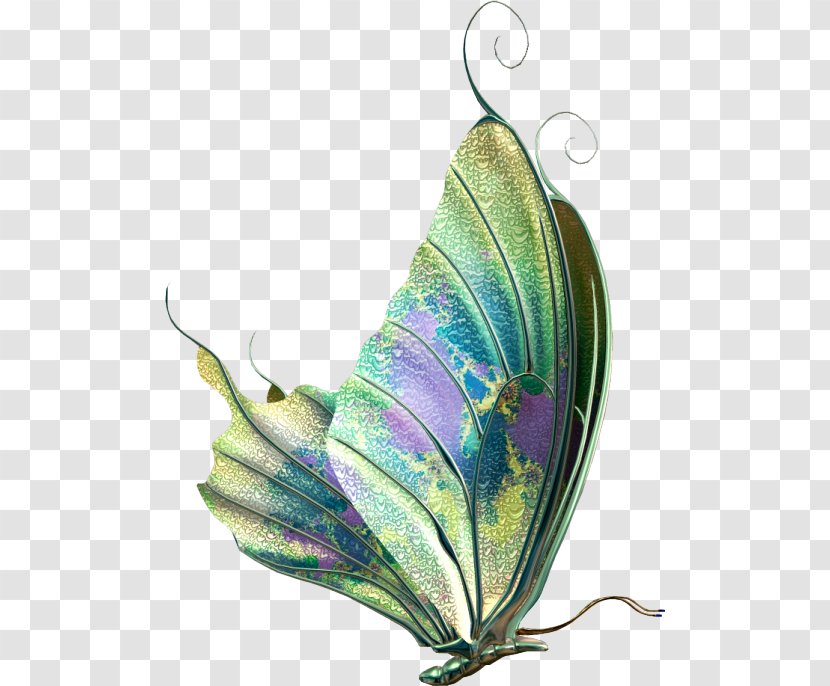 Butterfly Insect Clip Art - Pollinator Transparent PNG