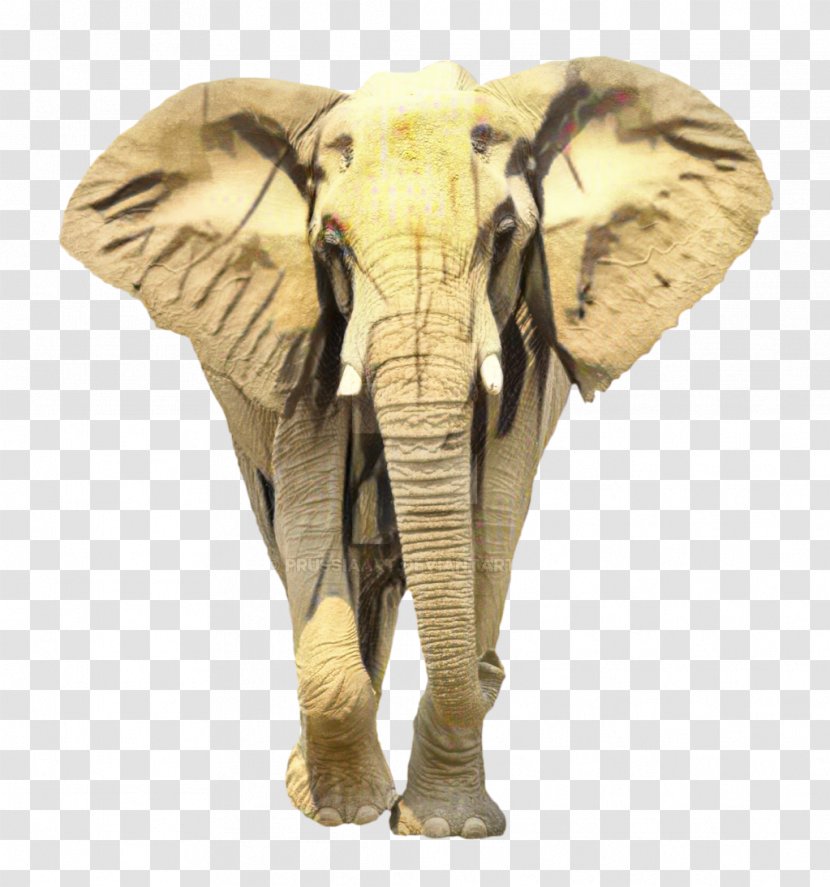 Apple IPhone 7 Plus X Indian Elephant SE 5s - Wildlife - Iphone Transparent PNG