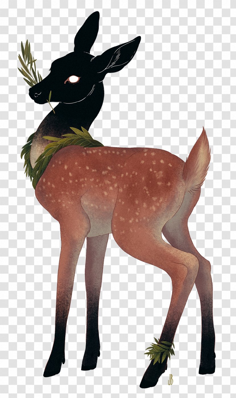 Reindeer Musk Deers Drawing - Fauna Transparent PNG