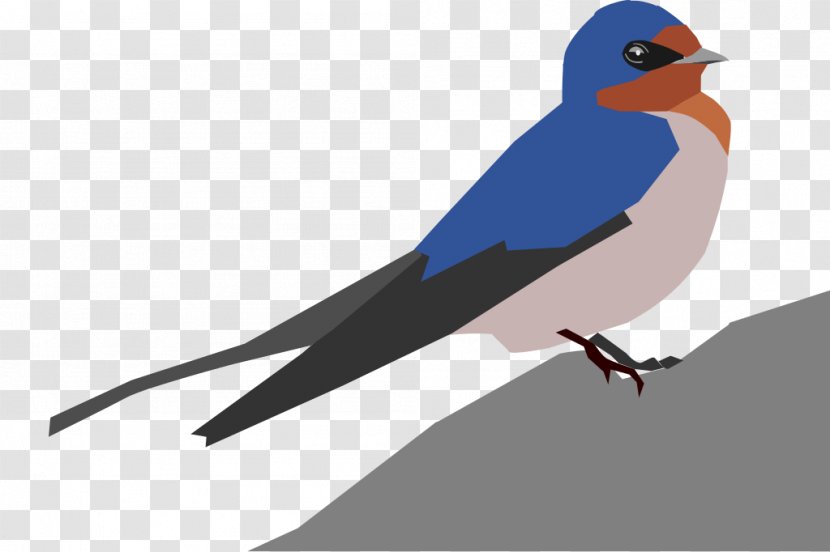 Bird Hirundininae - Swallow Transparent PNG