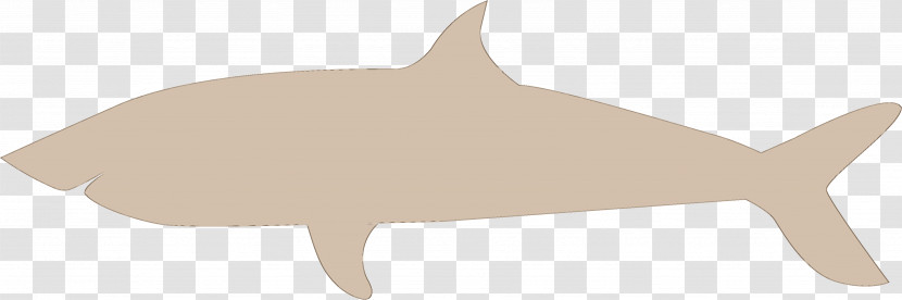 Shark Transparent PNG
