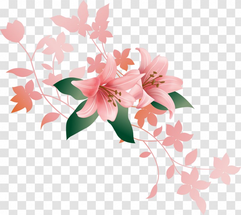 Lilium - Floristry - Callalily Transparent PNG