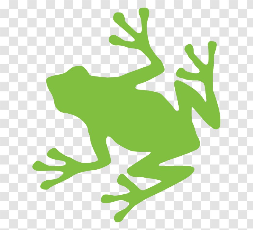 Frog Turtle Logo Decal - Biology Transparent PNG