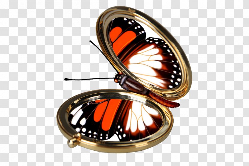 Butterfly Nymphalidae Mirror - Insect - Creative Transparent PNG