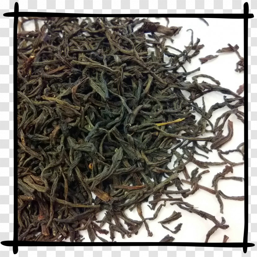 Assam Tea Baihao Yinzhen Keemun Nilgiri - Shincha - Leaves Transparent PNG