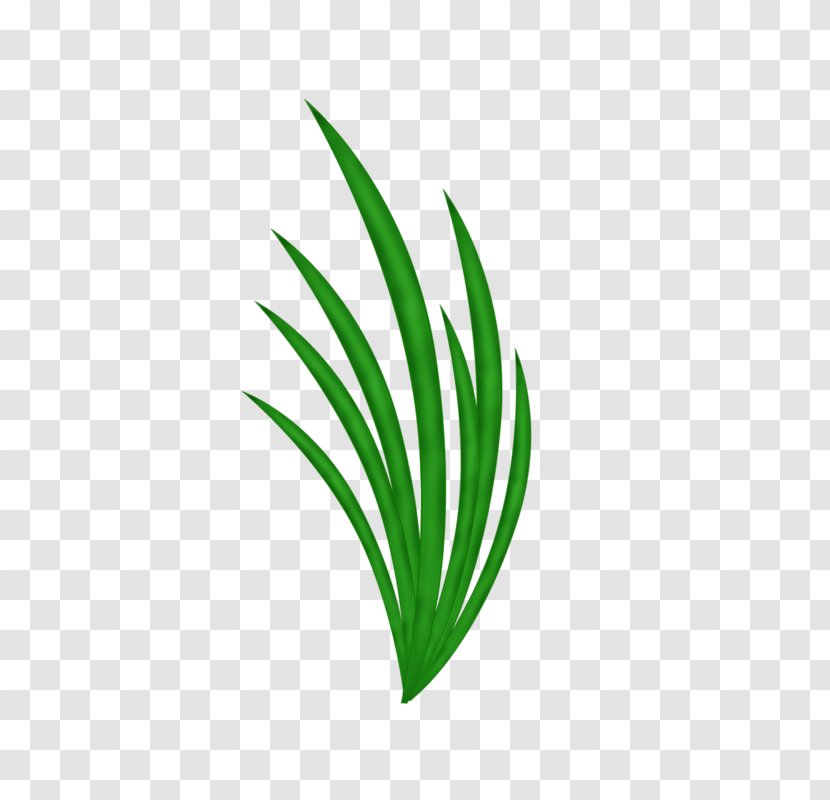 Green Drawing - Tree - Grass Transparent PNG