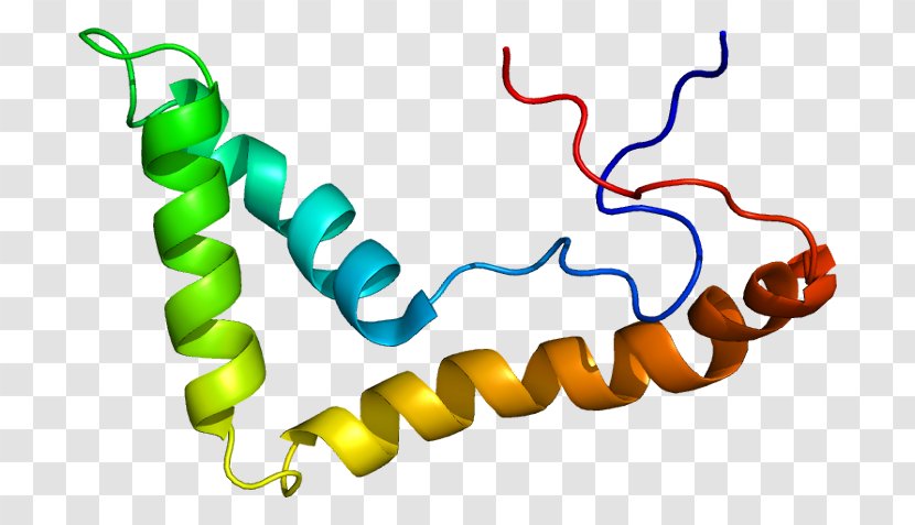 UBTF Protein Transcription Factor Kinase Nucleolus Organizer Region - Artwork - Polymerase Transparent PNG