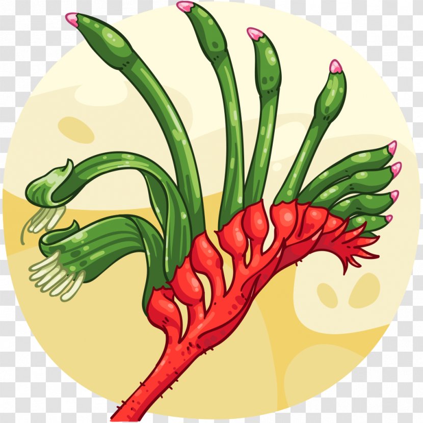 Bird's Eye Chili Tabasco Pepper Cayenne Peperoncino - Plant Transparent PNG