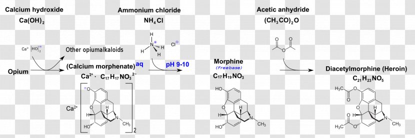 Aspirin Mild Pain Analgesic Calcium Morphenate Morphine - Diagram Transparent PNG