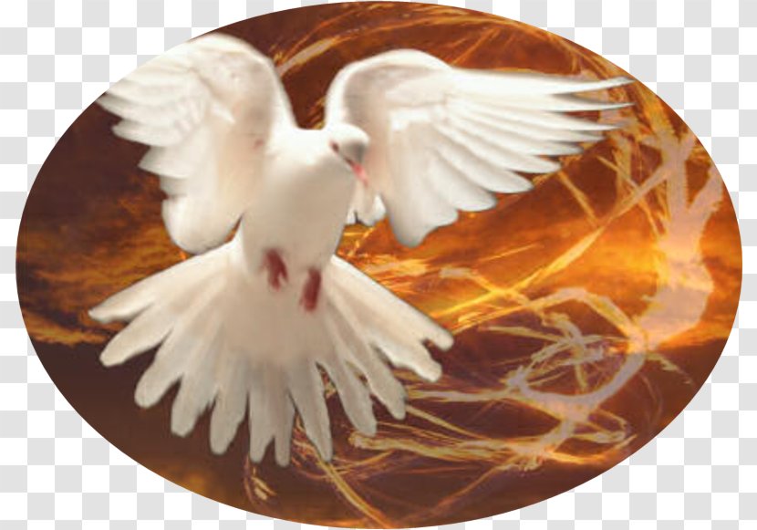 Bible New Testament Holy Spirit God Transparent PNG
