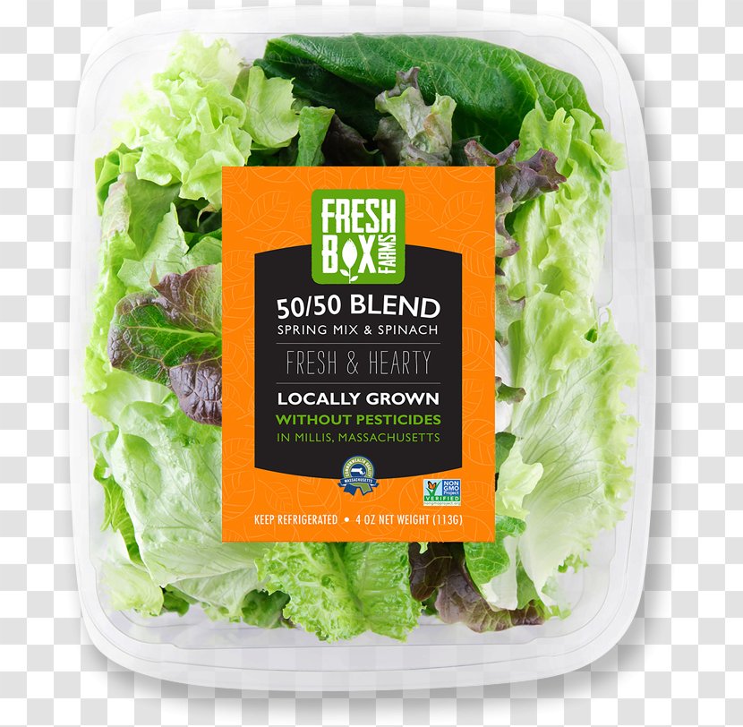 Lettuce FreshBox Farms Hydroponics - Food - Dish Transparent PNG