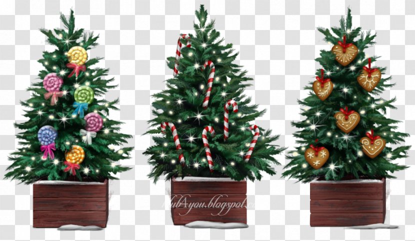 Christmas Tree Spruce Ornament Fir Pine Transparent PNG