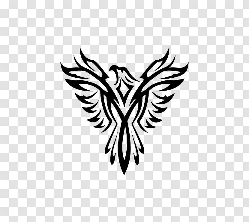 Phoenix Line Art Clip - Neck Transparent PNG