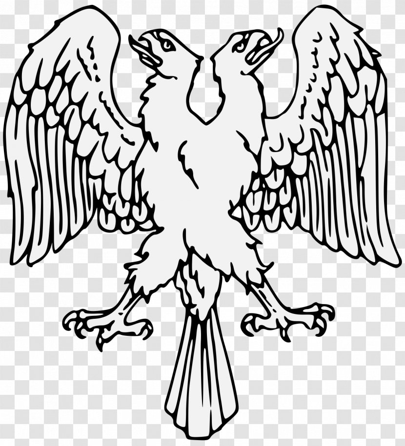 Clip Art Heraldry Beak Roll Of Arms - Fauna - Eagle DRAWING Transparent PNG