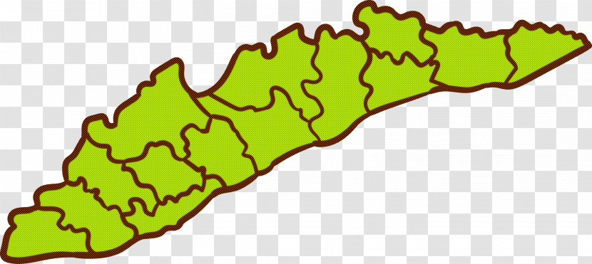 Kerala Elements Transparent PNG