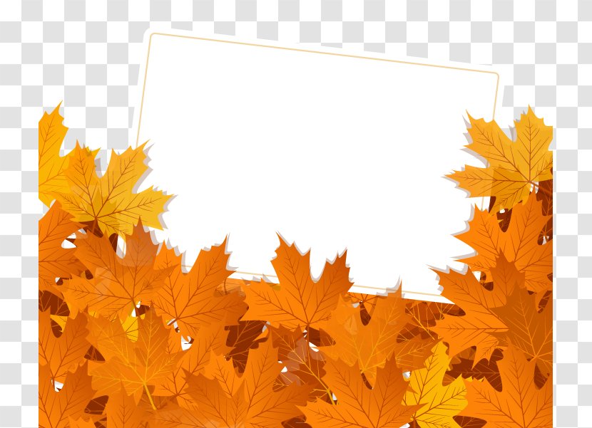 Autumn Leaf Color Royalty-free - Royaltyfree - Vector Material Transparent PNG