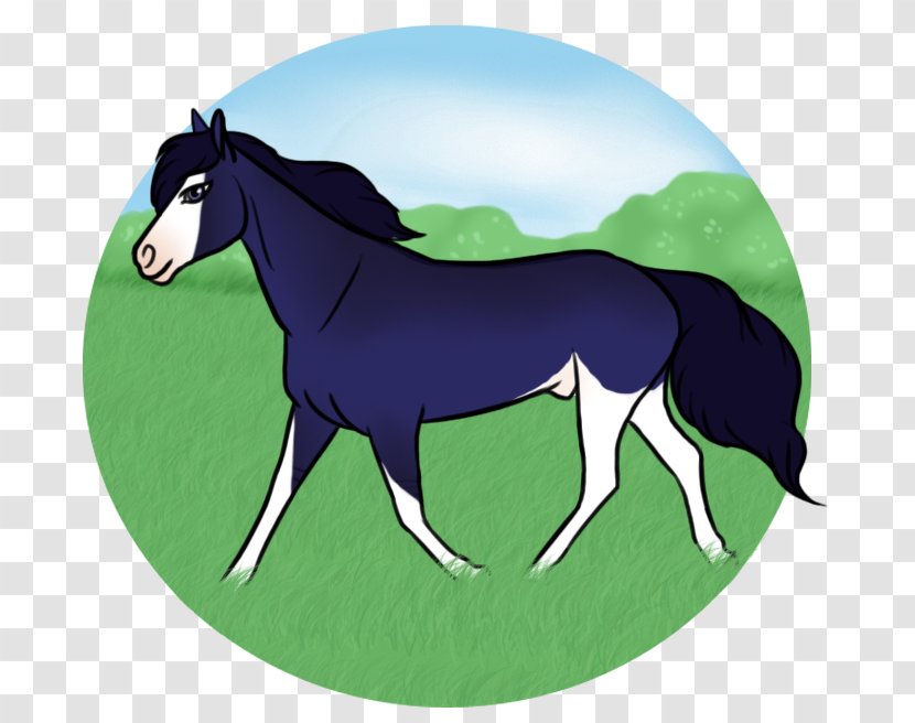 Foal Stallion Mare Mustang Colt - Horse Like Mammal - Manor Transparent PNG