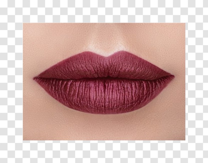 OFRA Long Lasting Liquid Lipstick Cosmetics Lip Gloss - Eyelash Transparent PNG