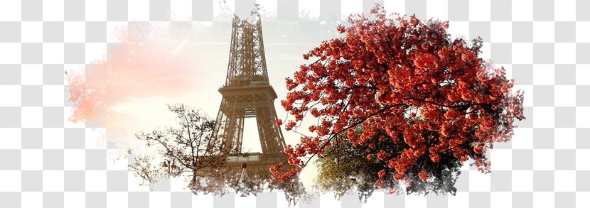 Eiffel Tower Passy Cemetery Android Wallpaper - Hotel Transparent PNG