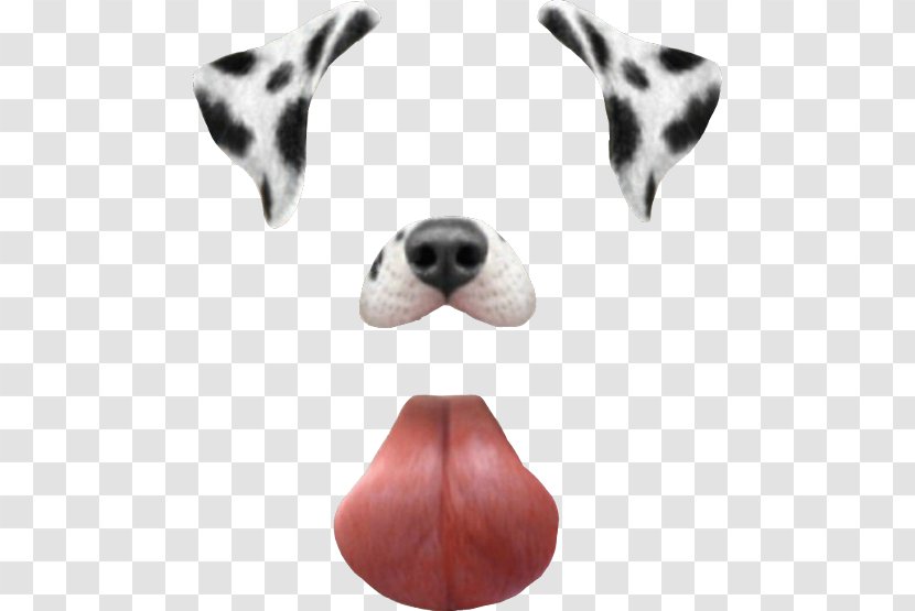 Dalmatian Dog Snapchat Dancing Hot Clip Art - Carnivoran Transparent PNG