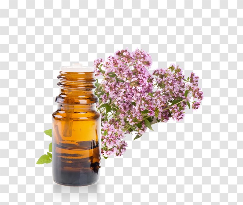 Marjoram Essential Oil Herb Rosemary - Oregano - Melaleuca Huile Essentielle Transparent PNG