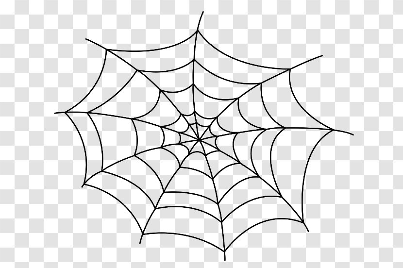 Spider Web Drawing Clip Art Transparent PNG