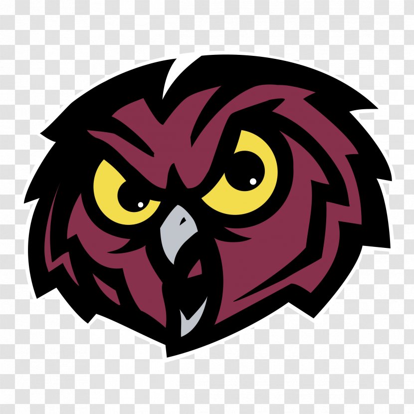 Temple Owls Football Women's Basketball NCAA Division I Bowl Subdivision University - Bird Of Prey - Tample Transparent PNG