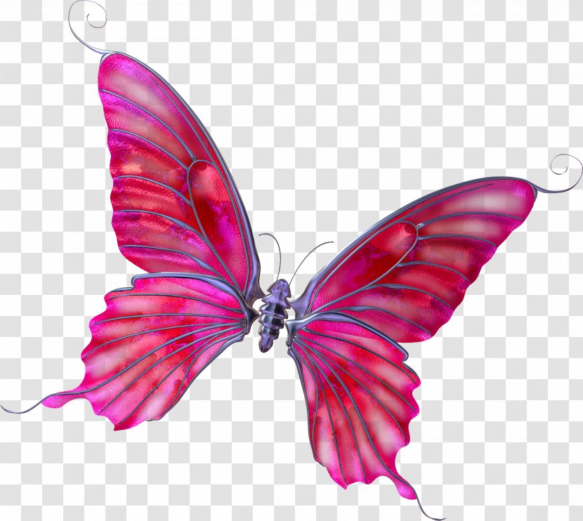 Butterfly Photography Clip Art Transparent PNG