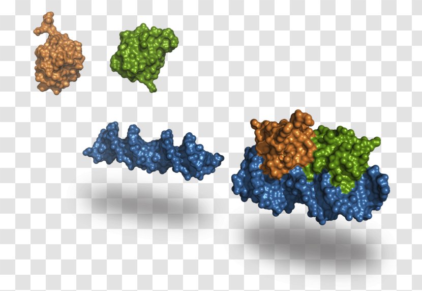 Grape Structural Bioinformatics Logo European Institute - Molecule - Organism Transparent PNG